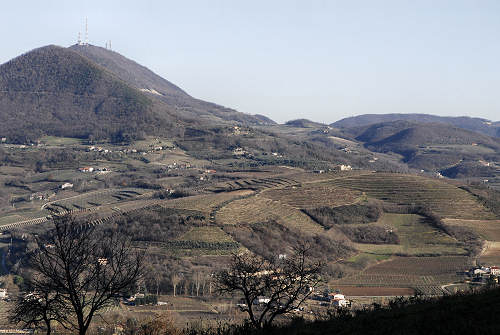 Monte di Lozzo Atestino, Parco Naturale Regionale dei Colli Euganei
