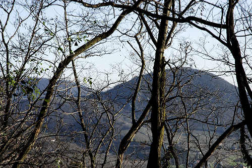 Monte di Lozzo Atestino, Parco Naturale Regionale dei Colli Euganei
