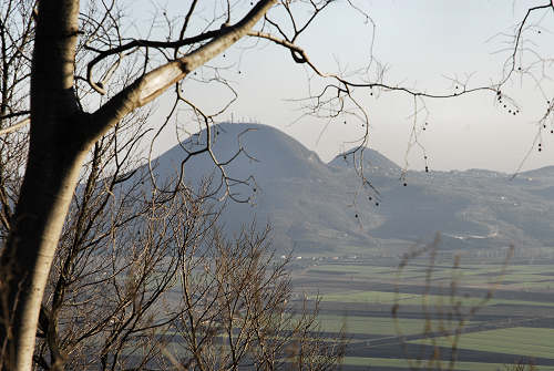 Monte di Lozzo Atestino, Parco Naturale Regionale dei Colli Euganei