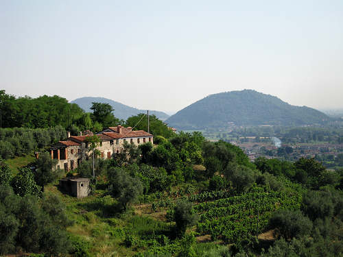 monte Rua, Galzignano, Calto Callegaro - mountain bike