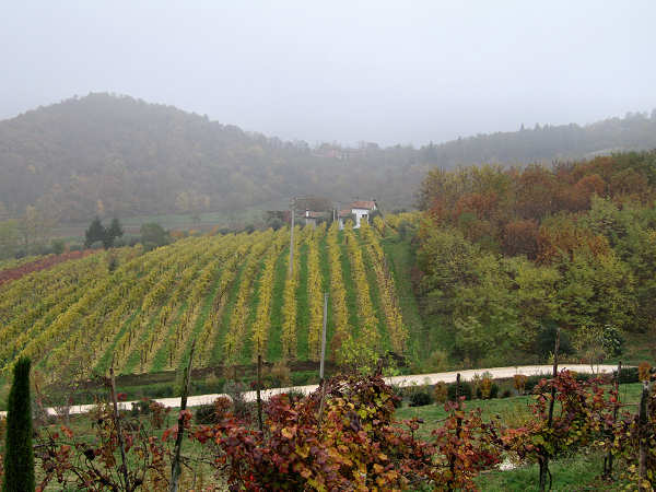 Colli di Teolo, Frassenelle, Monte Grande, Calto Pendice - giro in mountain bike