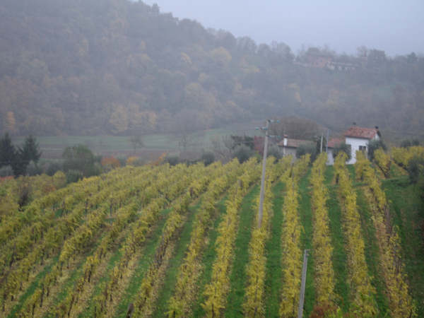 Colli di Teolo, Frassenelle, Monte Grande, Calto Pendice - giro in mountain bike