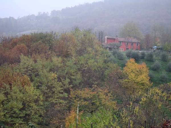 Colli di Teolo, Frassenelle, Monte Grande, Calto Pendice - giro in mountain bike