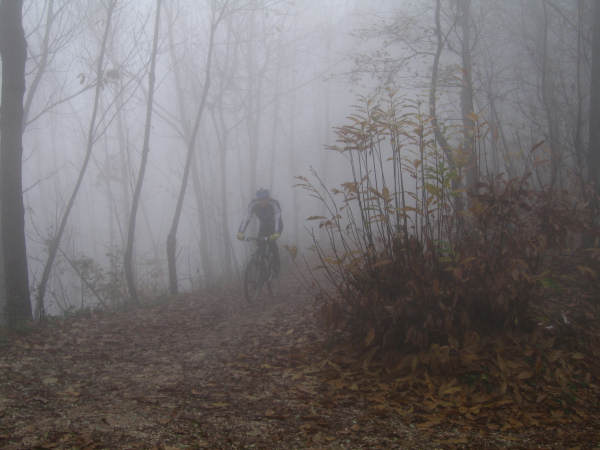 Colli di Teolo, Frassenelle, Monte Grande, Calto Pendice - giro in mountain bike