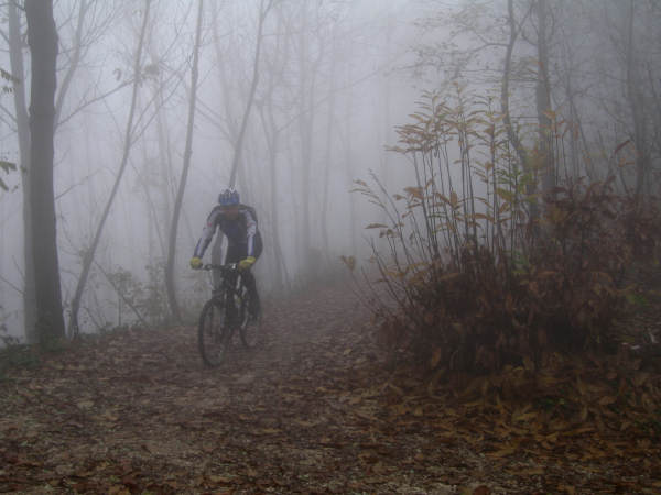 Colli di Teolo, Frassenelle, Monte Grande, Calto Pendice - giro in mountain bike