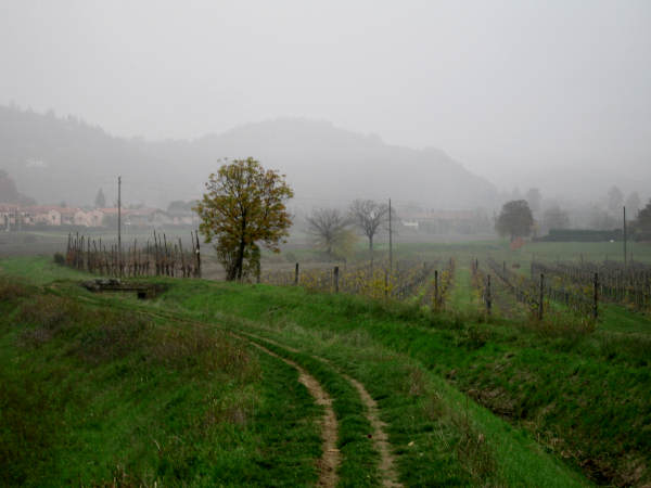 Colli di Teolo, Frassenelle, Monte Grande, Calto Pendice - giro in mountain bike