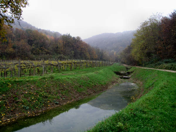Colli di Teolo, Frassenelle, Monte Grande, Calto Pendice - giro in mountain bike