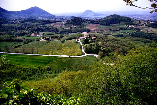 Colli Euganei