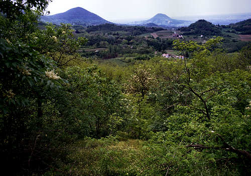 Colli Euganei