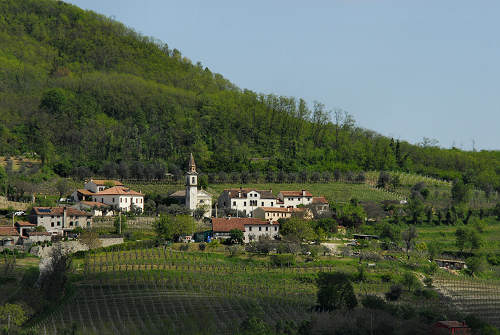 Cinto Euganeo, Colli Euganei