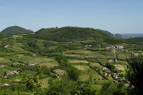 Cinto Euganeo, Colli Euganei