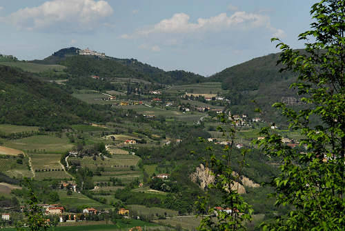 Cinto Euganeo, Colli Euganei