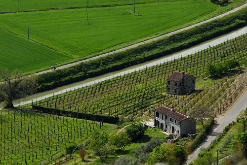 Cinto Euganeo, Colli Euganei