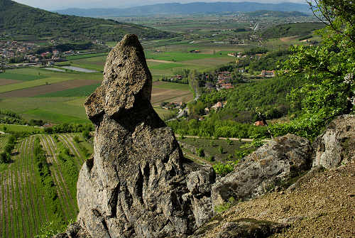 Cinto Euganeo, Colli Euganei