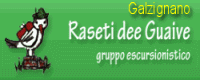 Raseti dee guaive - Galzignano Terme