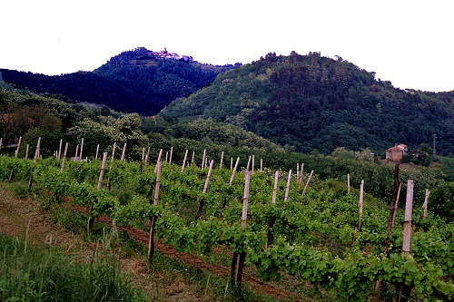 monastero monte Rua - Colli Euganei