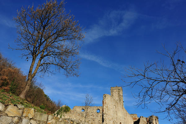 ruderi ex monastero Olivetani sul Monte Venda nei Colli Euganei