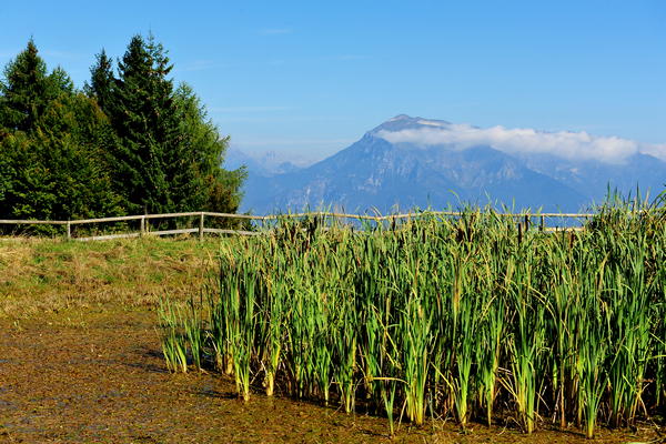 Forte Leone a Cima di Campo, Arsié - Feltre