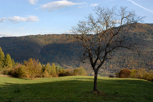 Fastro di Arsié e Fastro Bassanese Cismon del Grappa - Valsugana Canal di Brenta