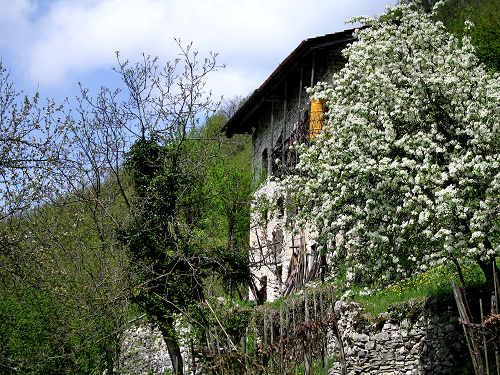 passeggiata lago di Corlo Zanetti Berti Corlo Rocca