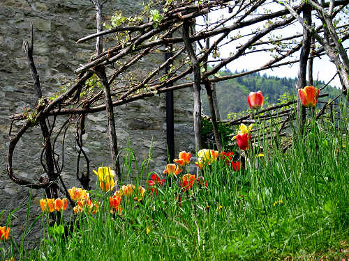 passeggiata lago di Corlo Zanetti Berti Corlo Rocca