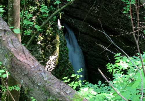 Carazzagno - Rocca d'Arsié