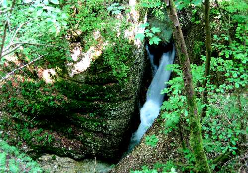 Carazzagno - Rocca d'Arsié
