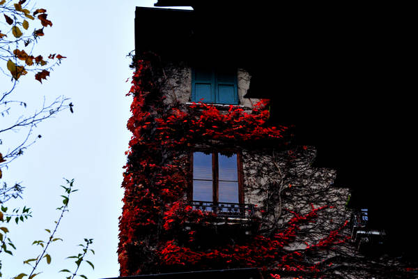 Feltre, Salita Vittore Dal Pozzo