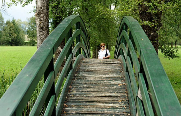 Vincheto di Cellarda