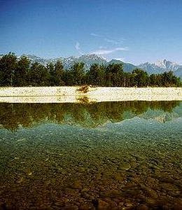 Vincheto di Cellarda