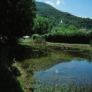 Vincheto di Cellarda