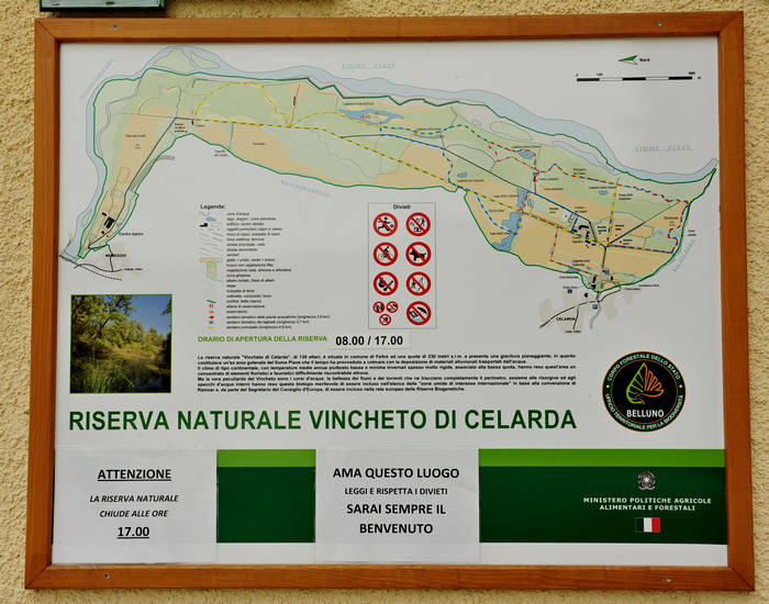 Vincheto di Cellarda