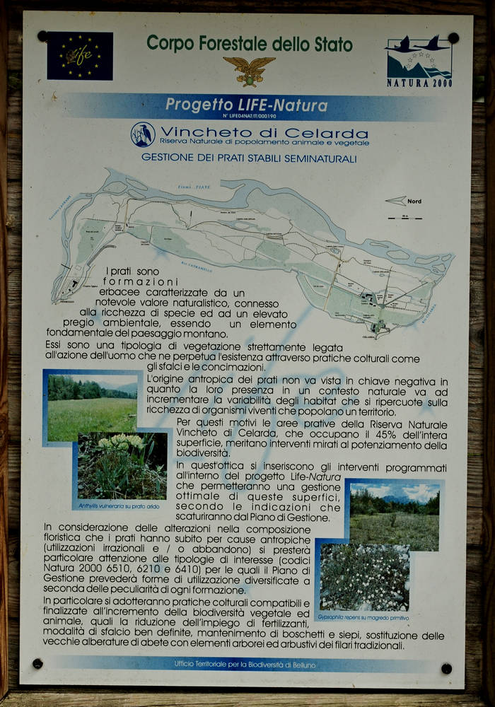 Vincheto di Cellarda