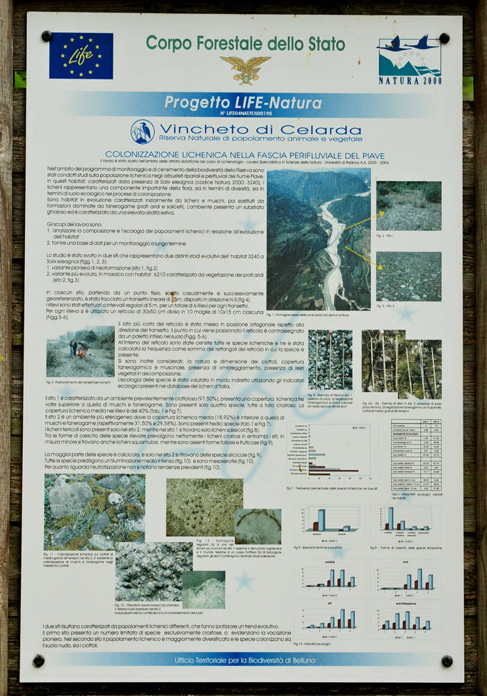 Vincheto di Cellarda
