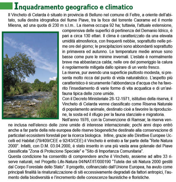 Vincheto di Cellarda