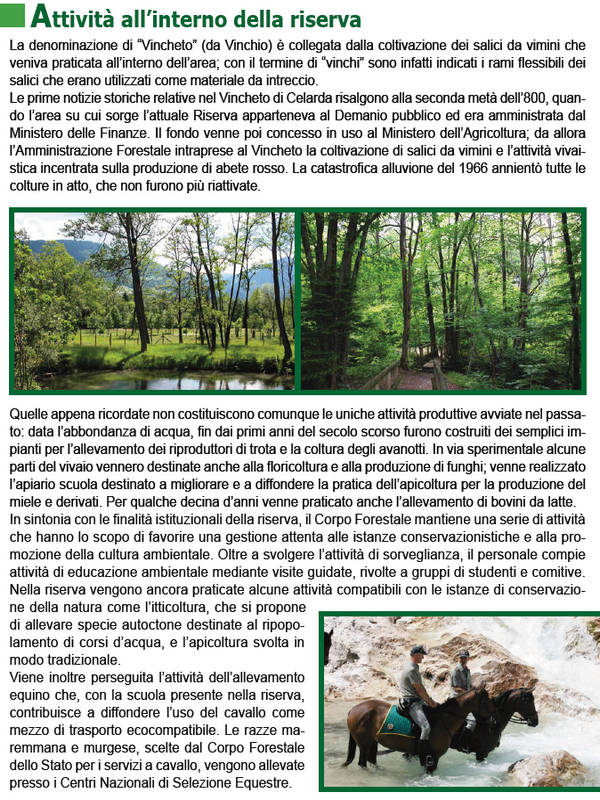 Vincheto di Cellarda