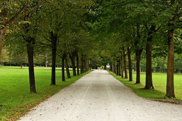riserva naturale Vincheto di Celarda a Feltre, lungo il fiume Piave