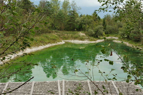riserva naturale Vincheto di Celarda a Feltre, lungo il fiume Piave