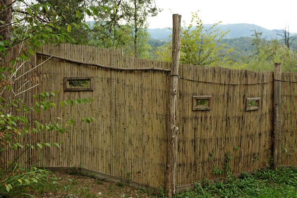 riserva naturale Vincheto di Celarda a Feltre, lungo il fiume Piave