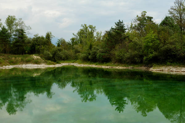 riserva naturale Vincheto di Celarda a Feltre, lungo il fiume Piave