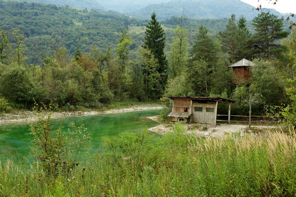 riserva naturale Vincheto di Celarda a Feltre, lungo il fiume Piave