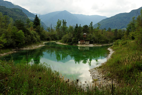 riserva naturale Vincheto di Celarda a Feltre, lungo il fiume Piave