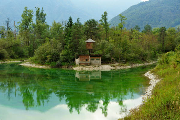 riserva naturale Vincheto di Celarda a Feltre, lungo il fiume Piave
