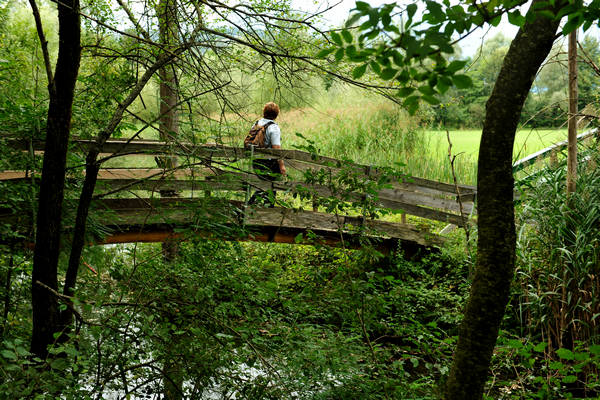 riserva naturale Vincheto di Celarda a Feltre, lungo il fiume Piave