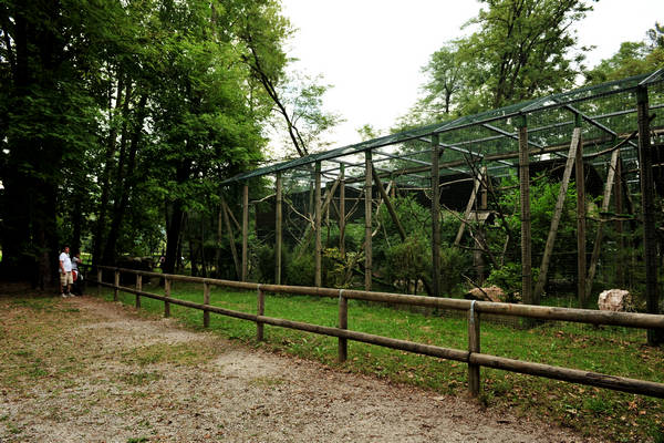 riserva naturale Vincheto di Celarda a Feltre, lungo il fiume Piave