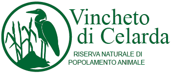 Vincheto di Cellarda, Feltre