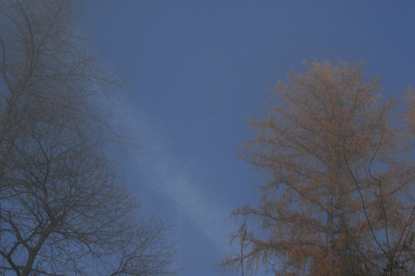 Facen di Pedavena, Santa Susanna