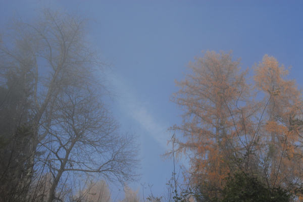 Facen di Pedavena, Santa Susanna