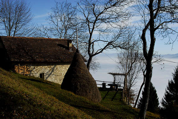 Facen di Pedavena, Santa Susanna