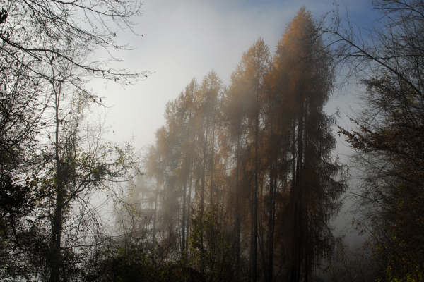 Facen di Pedavena, Santa Susanna